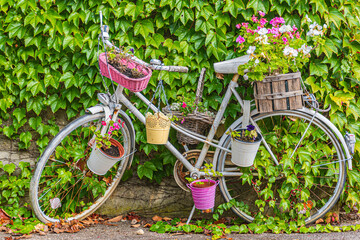 Fototapeta na wymiar altes Fahrrad mit Blumen