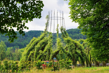 A church made of willow trees in a meadow near Pappenheim in Bavaria - obrazy, fototapety, plakaty