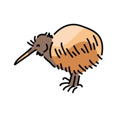 Australian bird kiwi color line illustration. Animals of Australia