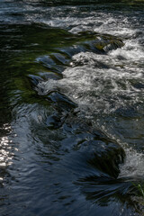 Strömung im Wildbach