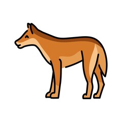 Dingo dog color line illustration. Animals of Australia