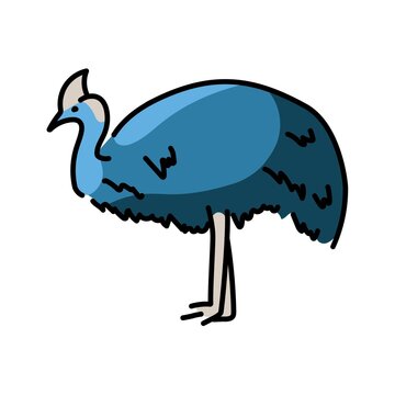 recommend clip art: Australian cassowary color line illustration. Animals of Australia