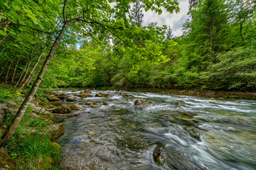 Landschaftsaufnahme an einem Wildbach