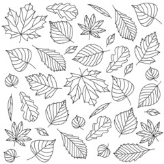 Linear autumn pattern, vector seamless pattern, black lines on a white background.