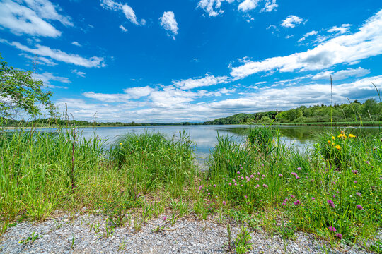 Ein herrlicher Sommertag am See