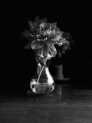 Blume in einer Glasvase