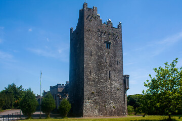 Windenham Castle in Castletownroche
