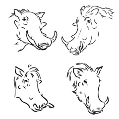 Black and white vector line drawing of a Warthog's face