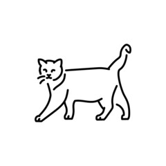 Happy cat standing color line icon. Pictogram for web page