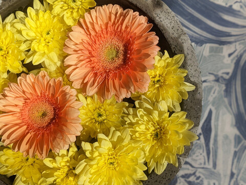 Sommerblumen im Wasser. No.1
