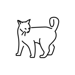 Playful cat standing color line icon. Pictogram for web page