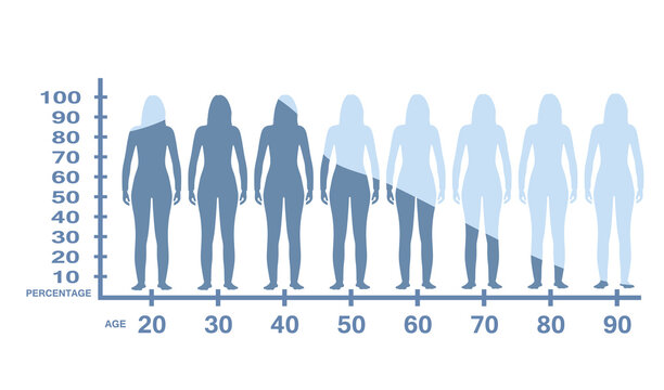 Woman estrogen level. vector illustration