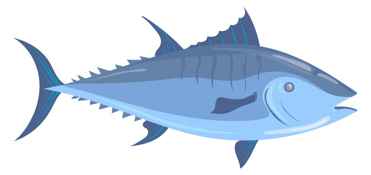 Cartoon tuna icon. Silver fish. Underwater animal