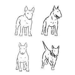 Cute bull terrier dog sketch. Vector illustration in hand-drawn style. Image for printing on any surface