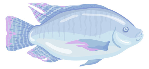 Obraz premium Tilapia fish with glossy scales. Cartoon underwater animal