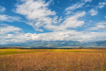 Fototapeta na wymiar Background of agricultural field and mountains. Sky with mountains in the background.
