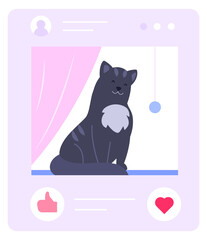 Cat photo in social media. Cute animal post