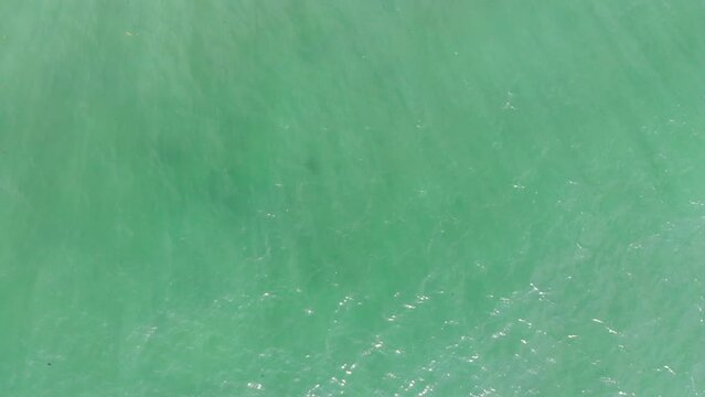 Top down aerial view of transparent Caribbean Sea with sunlight and sun rays on a sunny afternoon in Tulum 