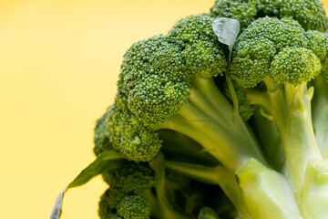 Broccoli single pieces isolated on yellow background.