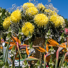 Blumenschmuck 3