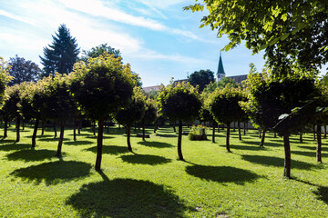 Park und Bäume