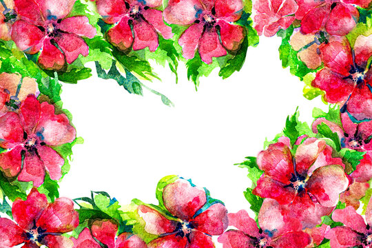 Rectangular horizontal postcard 3000x2000 pixels. Watercolor red flowers. Template without text