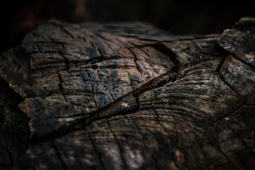 old wood texture