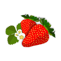strawberry_white background