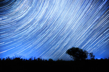 Star tracks in the sky. The movement of stars over a field and a lone tree. The night sky on long exposure. The landscape of the night sky over a small tree. © MaksimM