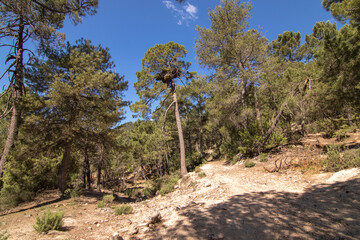 Trails with wonderful views of the Sierra De Cazorla, Spain. Nature tourism concept.