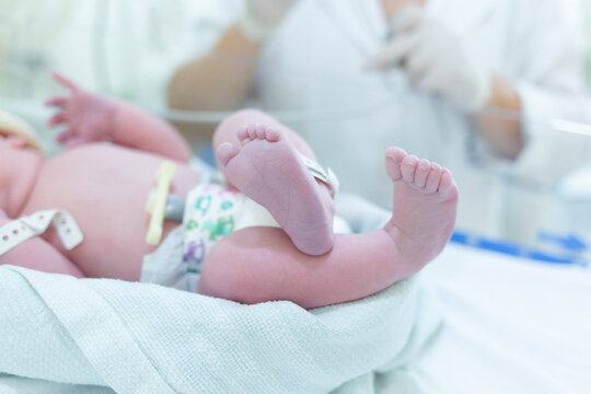 Newborn, foot