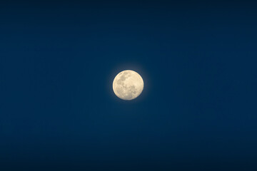 Obraz premium Full moon shine on blue sky in the dusk