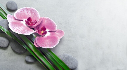 Flat lay composition with spa stones, orchid pink flower and palm leaves on grey background.