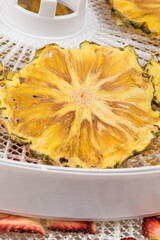 pineapple ring on a white grid, close-up