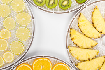 fresh fruit slices on drying trays