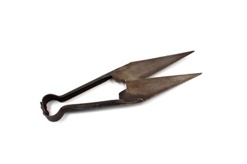 Antique sheep shearing scissors. Isolated on white