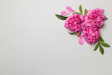 Beautiful peony flowers on color background, top view
