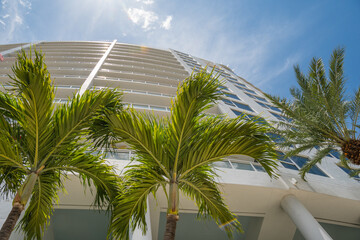 Beautiful tropical cityscape with modern architecture and palm trees view looking up.