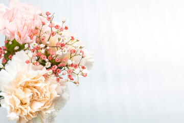 Still life of flowers on white background
