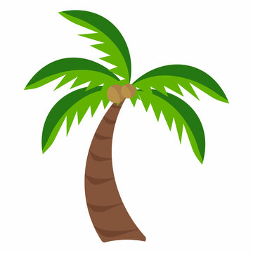 Cartoon palm tree on white background with coconuts logo summer stickers flat design