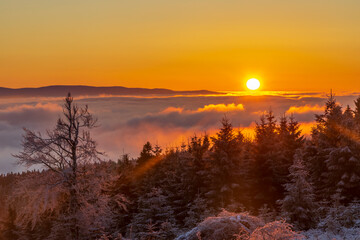 Obraz premium Sunrise in winter landscape near Velka Destna, Orlicke mountains, Eastern Bohemia, Czech Republic
