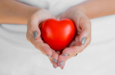 Obraz premium Women's hands hold a red heart. World Health Day, Love and Family Insurance. World Heart and Health Day. National Organ Donor Day.