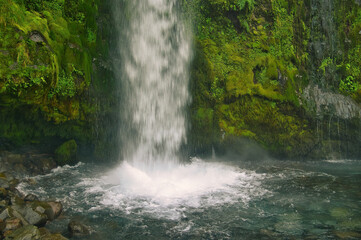 Fototapeta premium A waterfall plunges violently into a pool along a moss-covered rock face. Dawson Falls, Mount Taranaki, North Island, New Zealand 