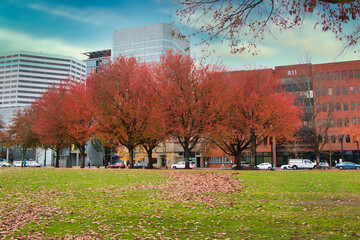 autumn in the city park