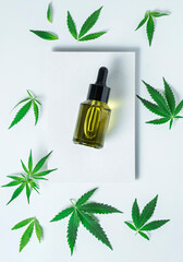 hemp cosmetic oil or serum, treatment for hair and scalp. Medical marijuana CBD oil and green leaf