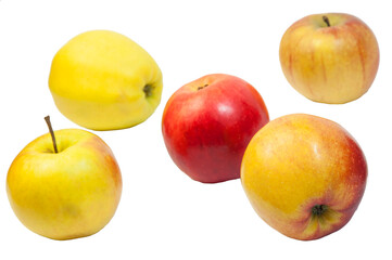 red and yellow apples on a white background. the concept of making apple juice. healthy food illustration. juicy sweet fruits on the table. many big apples on a light texture.