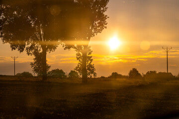 The setting sun shines through the branches of trees, autumn landscape