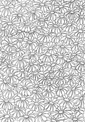 Daisies coloring page
Vector contour pattern with daisy flowers for coloring page