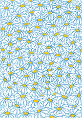 Daisies background
Hand drawn pattern with daisy flowers