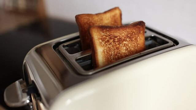 Roasted bread in white toaster. two delicious and toaster toasts. the process of frying toasts.